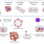 Tumor Modeling: Challenges and Future Directions