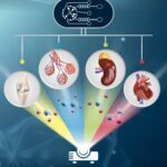 Review Article Just Published in ACS Biomaterial Science and Engineering